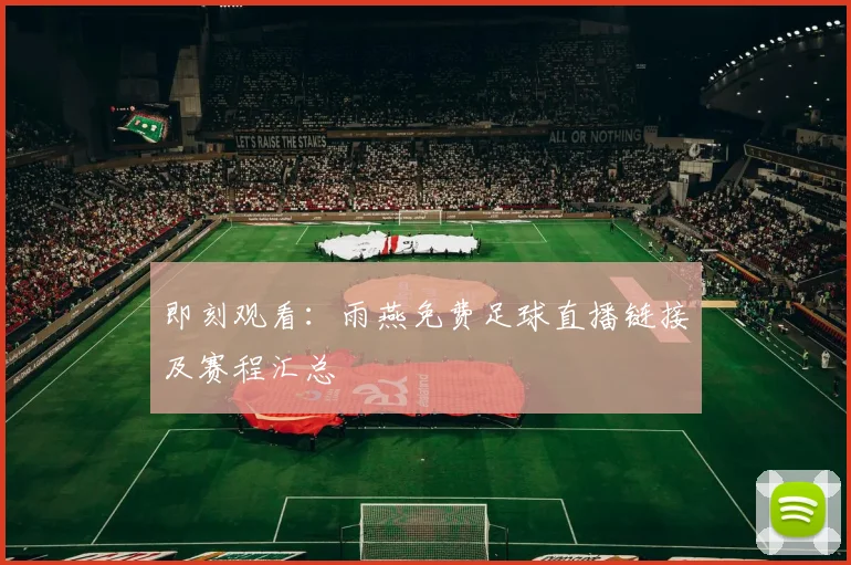 即刻观看：雨燕免费足球直播链接及赛程汇总