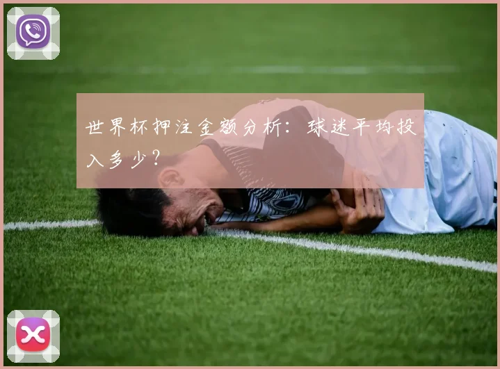 世界杯押注金额分析：球迷平均投入多少？