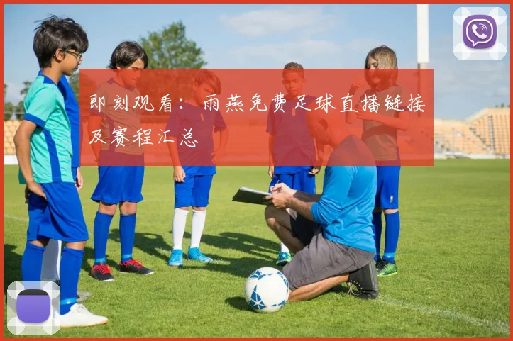 即刻观看：雨燕免费足球直播链接及赛程汇总