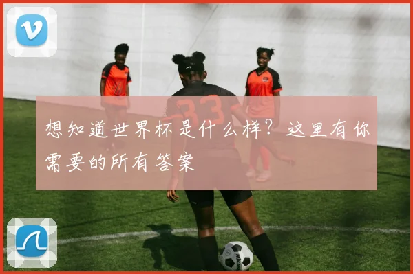 想知道世界杯是什么样？这里有你需要的所有答案