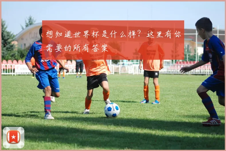 想知道世界杯是什么样？这里有你需要的所有答案