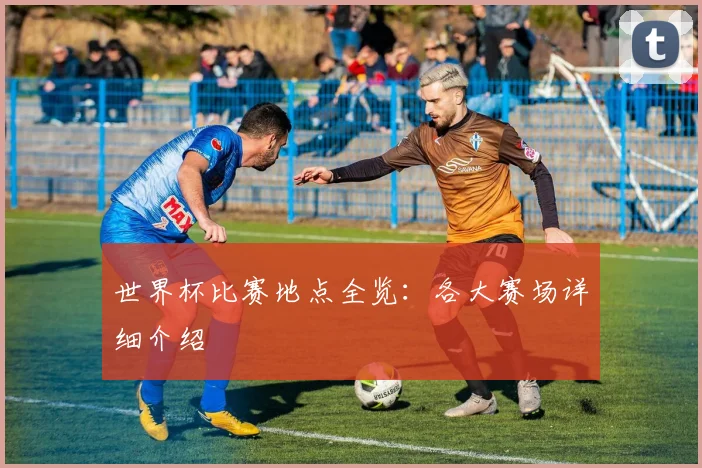 世界杯比赛地点全览：各大赛场详细介绍