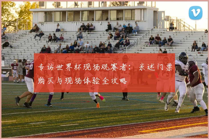 专访世界杯现场观赛者：亲述门票购买与现场体验全攻略