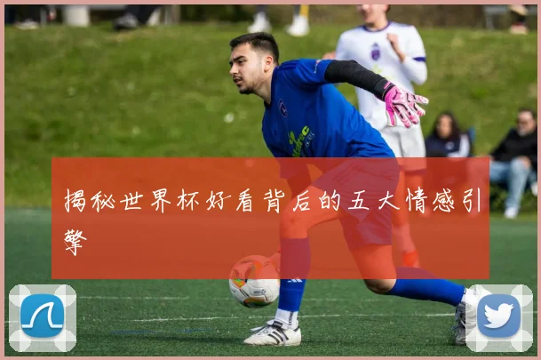揭秘世界杯好看背后的五大情感引擎